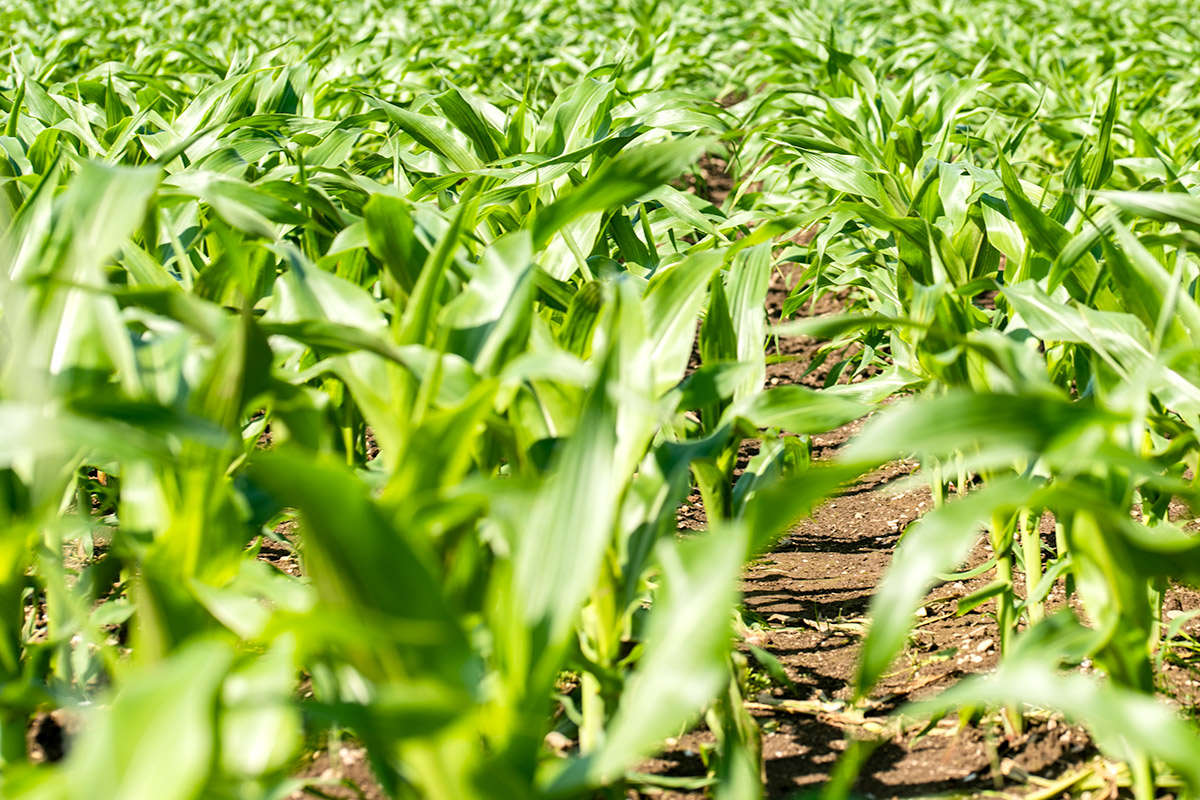 66%ҡݬ900/Ҳݰͺ󣬸һˣܷ񽵵ҩЧ